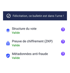 e-vote-verification